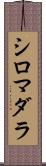 シロマダラ Scroll