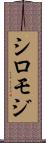 シロモジ Scroll