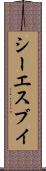 シーエスブイ Scroll