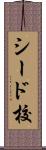 シード校 Scroll