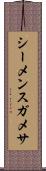 シーメンスガメサ Scroll