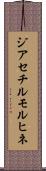 ジアセチルモルヒネ Scroll