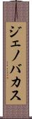Jenovacus Scroll