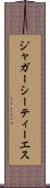 ジャガーシーティーエス Scroll