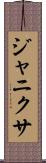 Janixa Scroll