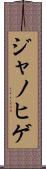ジャノヒゲ Scroll