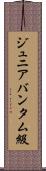 ジュニアバンタム級 Scroll