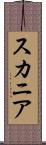 スカニア Scroll