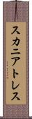 スカニアトレス Scroll