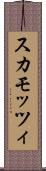 スカモッツィ Scroll
