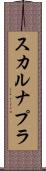 スカルナプラ Scroll