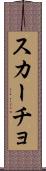 スカーチョ Scroll