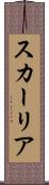 スカーリア Scroll
