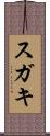 スガキ Scroll