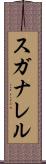スガナレル Scroll