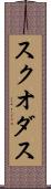 スクオダス Scroll
