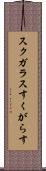 スクガラス Scroll