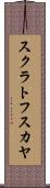 スクラトフスカヤ Scroll