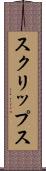 スクリップス Scroll