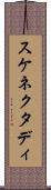 スケネクタディ Scroll