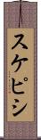 スケピシ Scroll