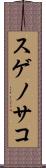 スゲノサコ Scroll