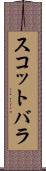 スコットバラ Scroll
