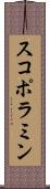 スコポラミン Scroll