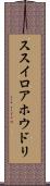 ススイロアホウドリ Scroll
