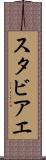 スタビアエ Scroll