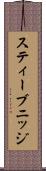 スティーブニッジ Scroll