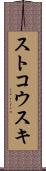 ストコウスキ Scroll