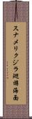 スナメリクジラ廻游海面 Scroll