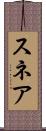 スネア Scroll