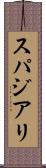 スパジアリ Scroll