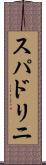 スパドリニ Scroll