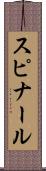 スピナール Scroll