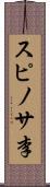 スピノサ李 Scroll