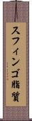 スフィンゴ脂質 Scroll
