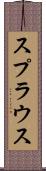 スプラウス Scroll