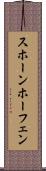 スホーンホーフェン Scroll