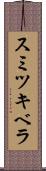 スミツキベラ Scroll