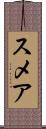 スメア Scroll