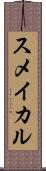 スメイカル Scroll