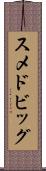 スメドビッグ Scroll