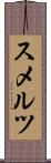 スメルツ Scroll