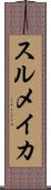 スルメイカ Scroll