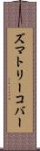 ズマトリーコバー Scroll