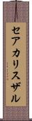 セアカリスザル Scroll