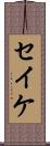 セイケ Scroll